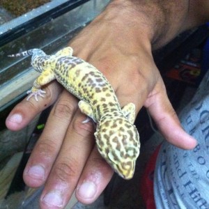 1502142 181650475361601 554719175 n