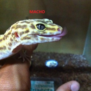 1479582 181650485361600 257201386 n