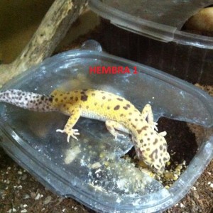 1476928 181650482028267 1240144287 n