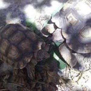 1922065 10203404309336331 136531710 n