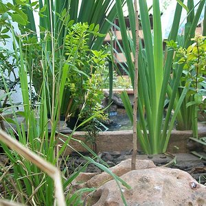 Instalaciones emys 001.jpg