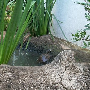 Instalaciones emys 004.jpg