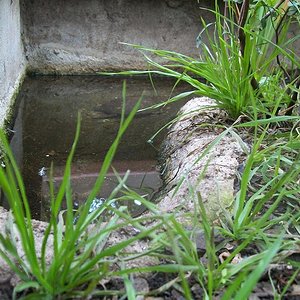 Instalaciones emys 006.jpg