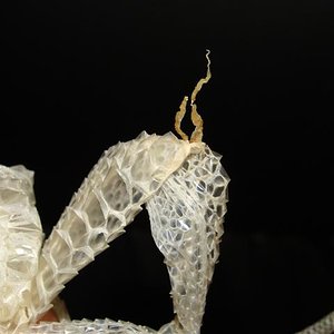 DSC02978 (Small).JPG