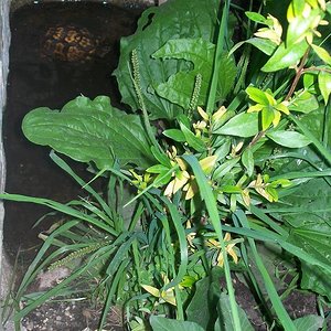 instalac. ext. 003.jpg