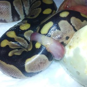 DSC00274- reducida.jpg