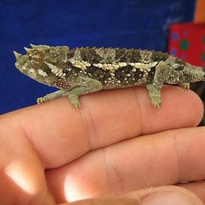 6 octubre 2011 008.JPG