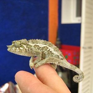 6 octubre 2011 012.JPG