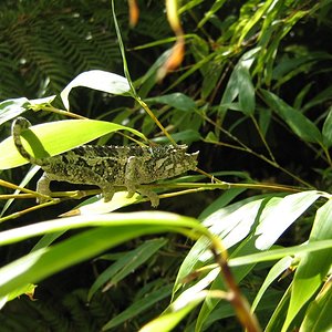 6 octubre 2011 006.JPG