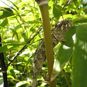 6 octubre 2011 010.JPG