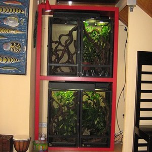 6 octubre 2011 004.JPG