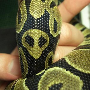 CIMG0075 (Medium).JPG