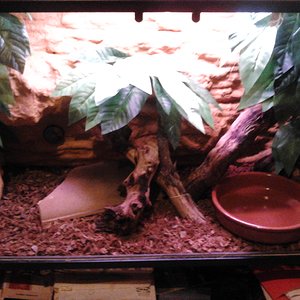 2011-10-18 19.49.07.jpg