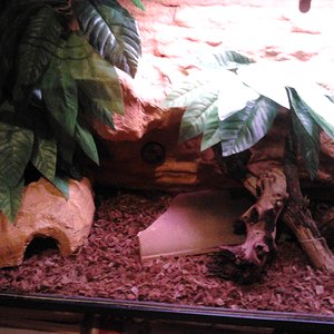 2011-10-18 19.49.14.jpg