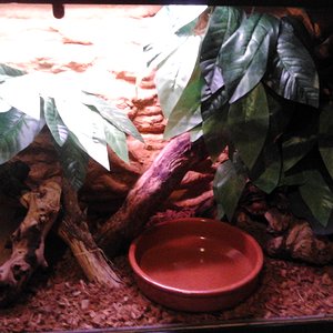 2011-10-18 19.49.22.jpg