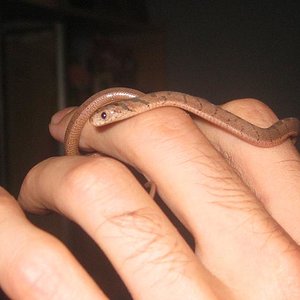 IMG_2248 - copia.JPG