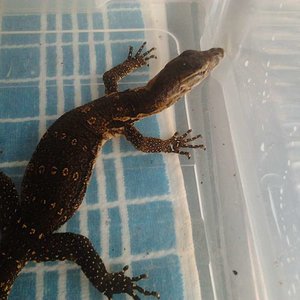 2011-10-26 12.11.29 [1024x768].jpg