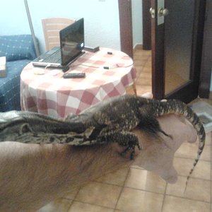 2011-10-26 11.57.20 [1024x768].jpg