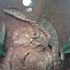 2011-10-26 13.19.12 [1024x768].jpg