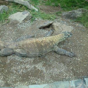 CIMG2695 [1024x768].JPG