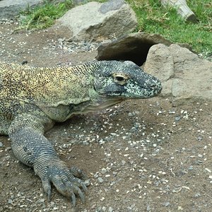 CIMG2696 [1024x768].JPG