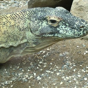 CIMG2697 [1024x768].JPG