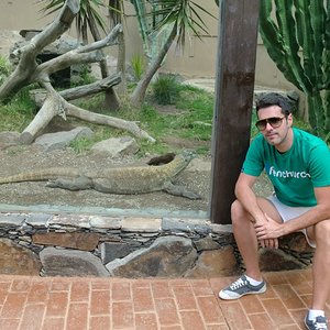 CIMG2702 [1024x768].JPG