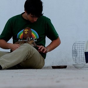 Vulpes Vulpes. Zorro Rojo 2 (1).jpg