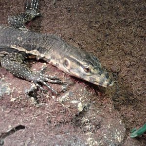 2011-10-30 18.02.41 [1024x768].jpg