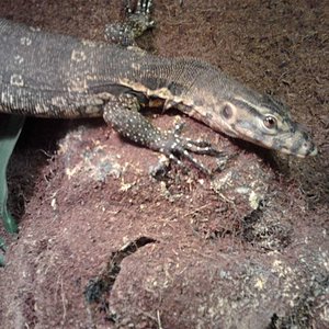 2011-10-30 18.02.45 [1024x768].jpg