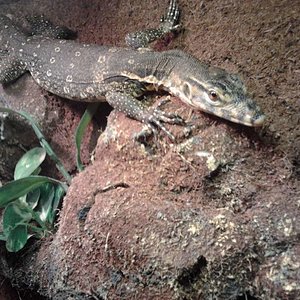 2011-10-30 18.02.52 [1024x768].jpg