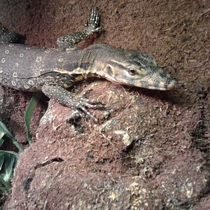 2011-10-30 18.03.06 [1024x768].jpg