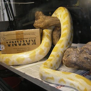 web-IMGP1794 (2).jpg