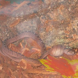 IMG_2325 - copia.JPG