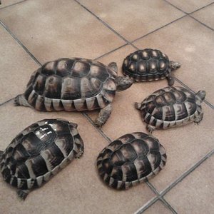 2011-11-15 01.50.32 [1024x768].jpg