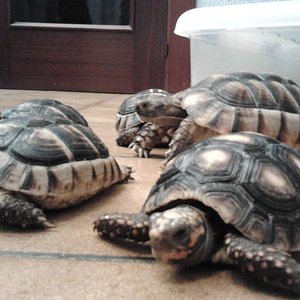 2011-11-15 01.50.47 [1024x768].jpg