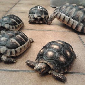 2011-11-15 01.50.58 [1024x768].jpg