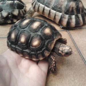 2011-11-15 01.51.10 [1024x768].jpg