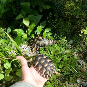 CIMG2310 [1024x768].JPG