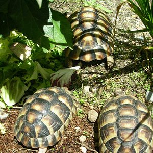 DSCN5909 [1024x768].JPG