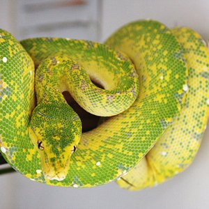 IMG_6038 [1600x1200].JPG