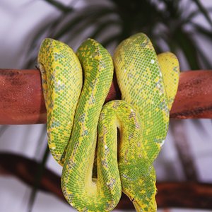 IMG_6055 [1600x1200].JPG