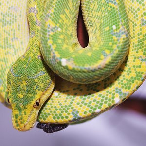 IMG_6113 [1600x1200].JPG