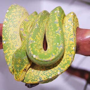 IMG_6114 [1600x1200].JPG