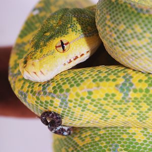 IMG_6116 [1600x1200].JPG