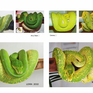 loira x binario-001 [1600x1200].jpg