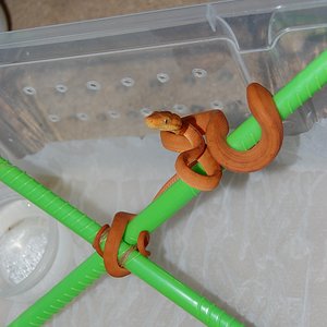 DSC_0001 (2)small.jpg