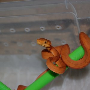 DSC_0003 (2)small.jpg