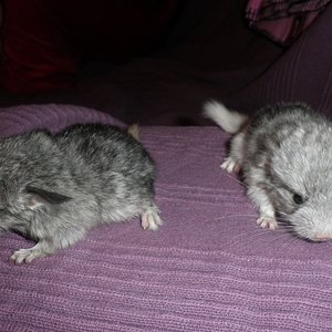 P1010001 (2) [1024x768].JPG