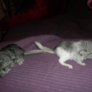 P1010002 (2) [1024x768].JPG